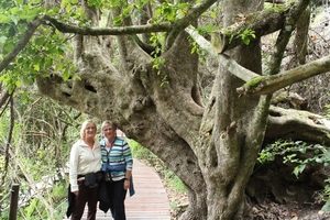 Tsitsikamma Nationaal Park