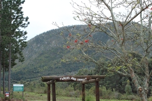 Tsitsikamma Lodge