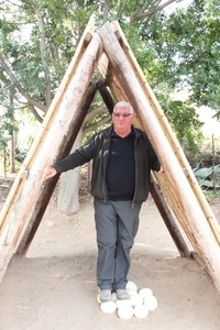 Cango Struisvogelboerderij