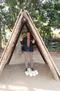 Cango Struisvogelboerderij
