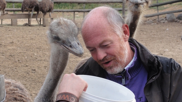 Cango Struisvogelboerderij