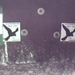 8B53E510-9C6A-4A51-59E0748FFD340FD1