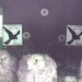 wc_20060630_150902[1]
