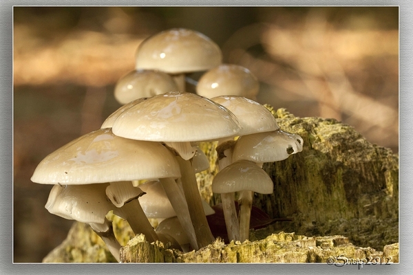 sized__MG_5974 kopie