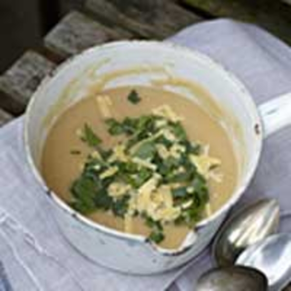 Knolselder, soep, recept, bier, groenten, website