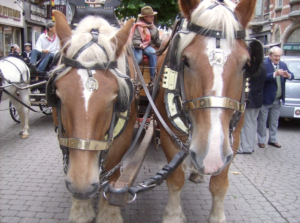 JUBILEUMVIERING 2009 036