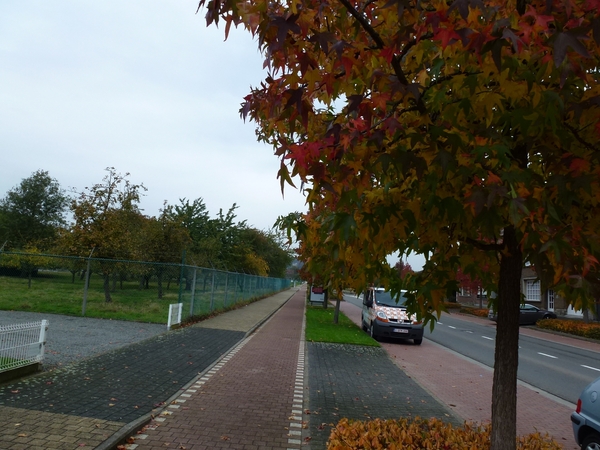 2012-10-20 Ronse 018