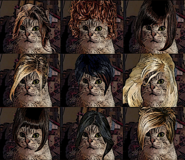 Photoshop, Seniorennet, wesp333, Fun, Funny, Websites, Cool, Coolste, Blog