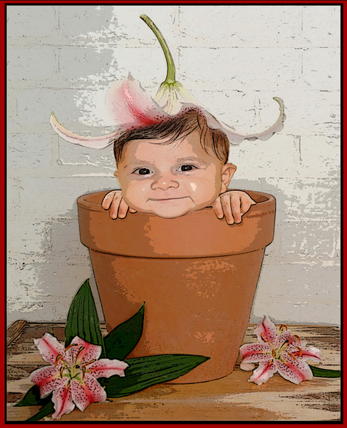 Photoshop, Seniorennet, wesp333, Fun, Funny, Websites, Cool, Coolste, Blog