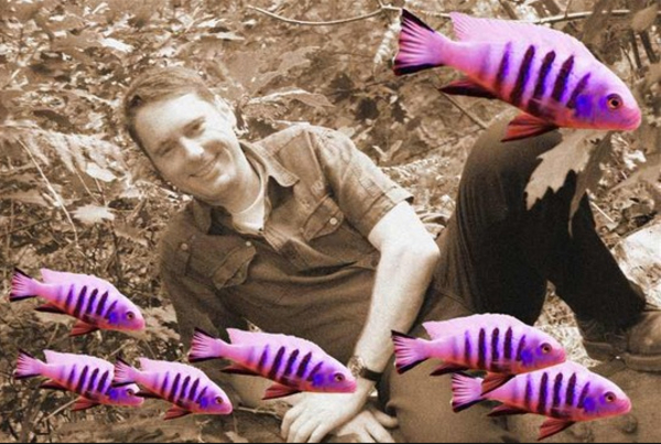 Photoshop, Seniorennet, wesp333, Fun, Funny, Websites, Cool, Coolste, Blog