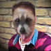 wesp333