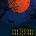 Donald Trump in the white house. Design for Creative Allies