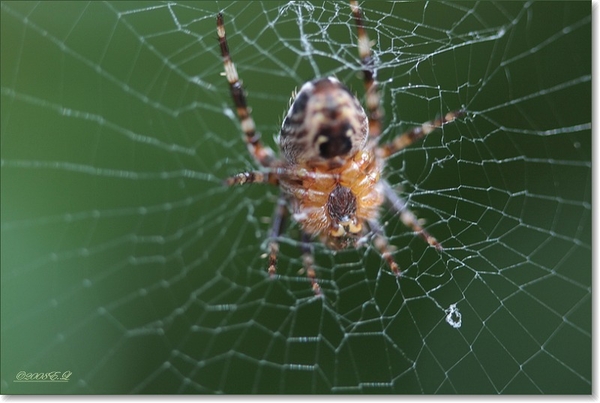 sized_Afbeelding 003