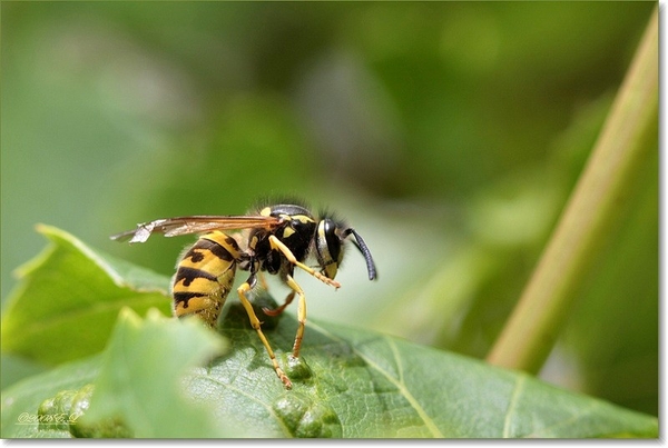 sized_Afbeelding 118