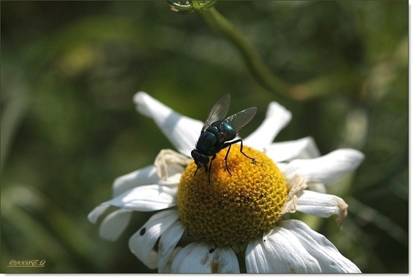 sized_Afbeelding 076