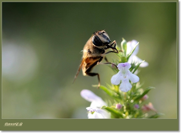 sized_Afbeelding 050