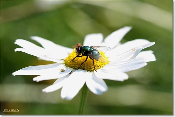 sized_Afbeelding 028