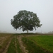 2012-10-21 Merchtem 006