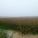 2012-10-21 Merchtem 009
