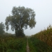 2012-10-21 Merchtem 010