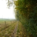 2012-10-21 Merchtem 011