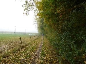 2012-10-21 Merchtem 011