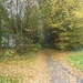 2012-10-21 Merchtem 012