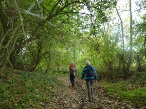 2012-10-22 Bierbeek(GR) 019