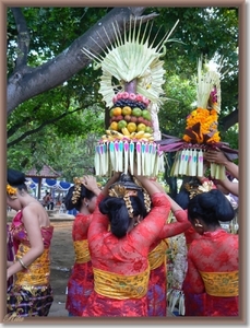 Lovina Festival