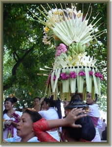 Lovina Festival