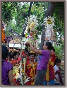 Lovina Festival