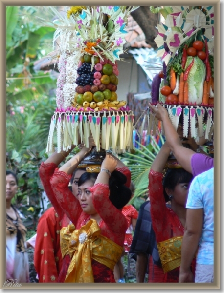 Lovina Festival