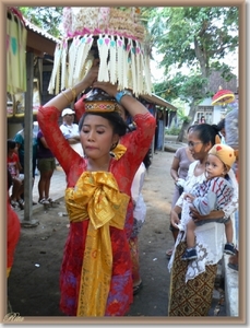 Lovina Festival