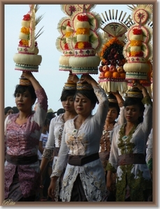 Lovina Festival