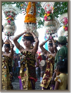 Lovina Festival