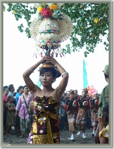 Lovina Festival