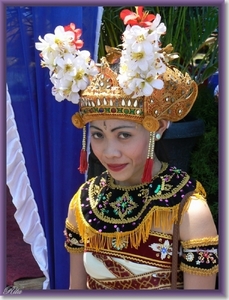 Lovina Festival