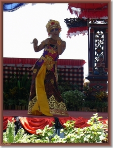 Lovina Festival