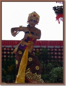 Lovina Festival