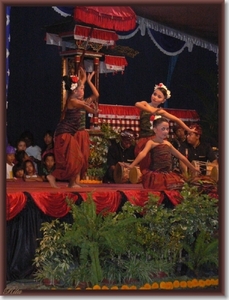 Lovina Festival