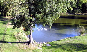 ETANG GENTINNES