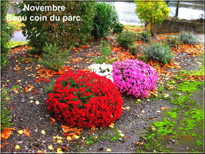 FLEURS PARC