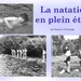 SPORT NATATION (bassin)