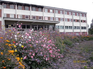 ct arrire, LOGEMENTS, FLEURS (aprs feu)