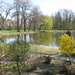 PARC  ETANG PLANTES