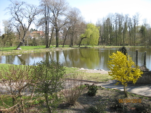 PARC  ETANG PLANTES