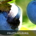 FRUITS ET FLEURS