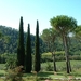 Castello di spaltenna