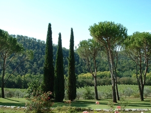 Castello di spaltenna