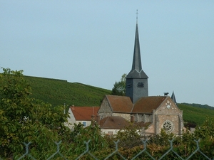 DSCF0164